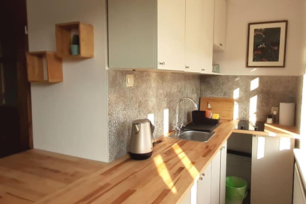 Lemuria Apartament Szkolna Centrum Λέγκνικα Εξωτερικό φωτογραφία