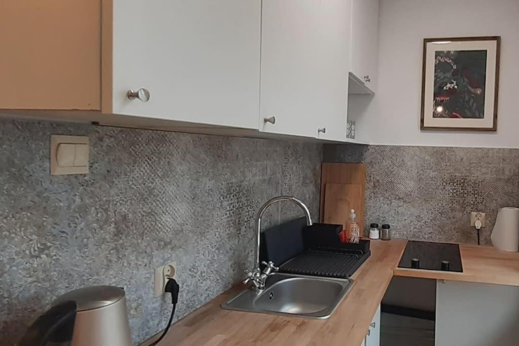 Lemuria Apartament Szkolna Centrum Λέγκνικα Εξωτερικό φωτογραφία